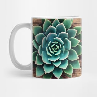 Succulent plant Mug